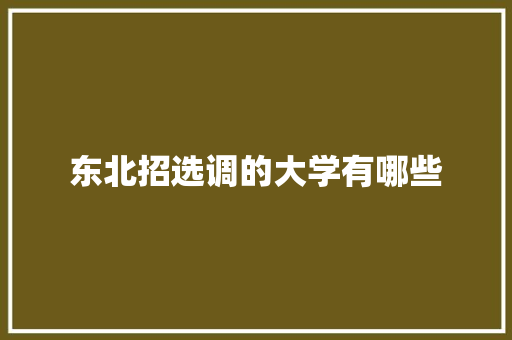 东北招选调的大学有哪些