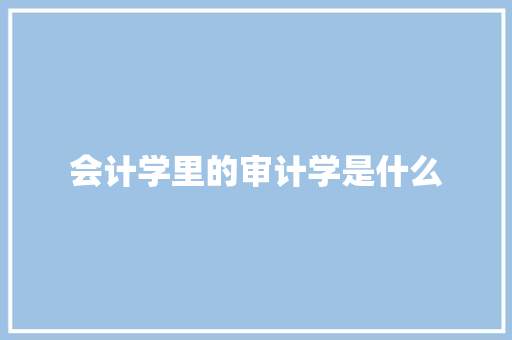 会计学里的审计学是什么