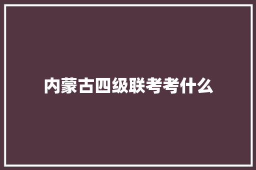 内蒙古四级联考考什么 科技报告范文