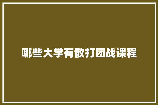哪些大学有散打团战课程