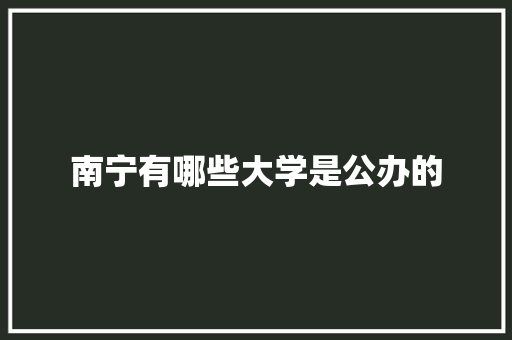 南宁有哪些大学是公办的