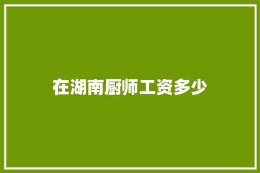 在湖南厨师工资多少