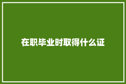 在职毕业时取得什么证