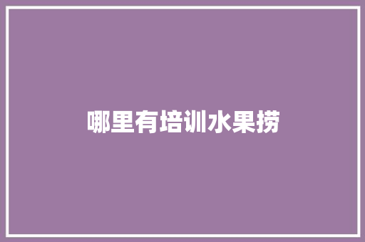 哪里有培训水果捞
