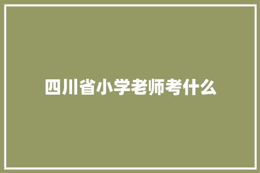 四川省小学老师考什么