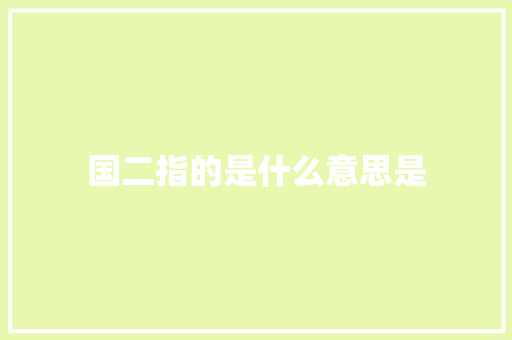 国二指的是什么意思是