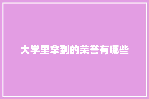 大学里拿到的荣誉有哪些
