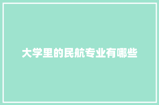 大学里的民航专业有哪些