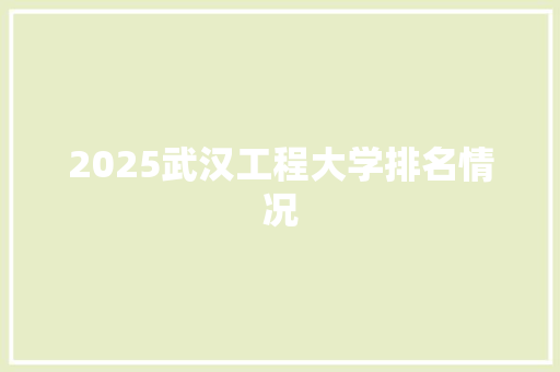 2025武汉工程大学排名情况