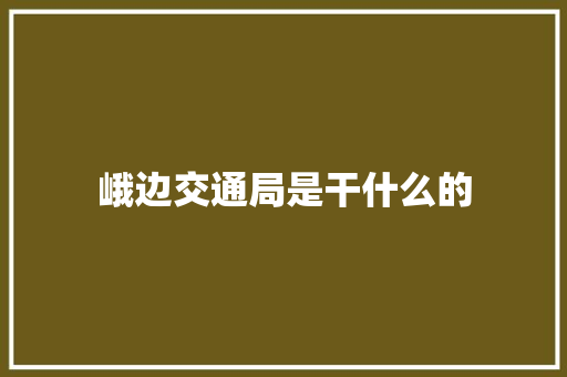 峨边交通局是干什么的 科技报告范文