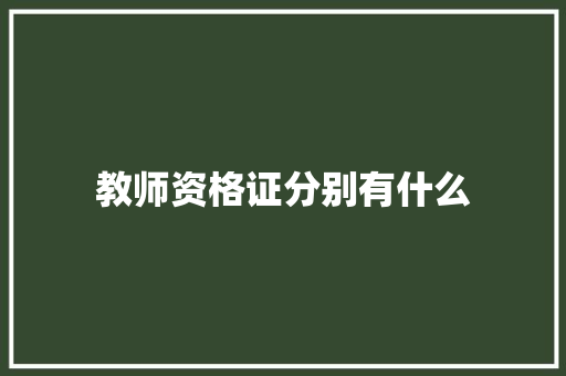 教师资格证分别有什么 财务报告范文