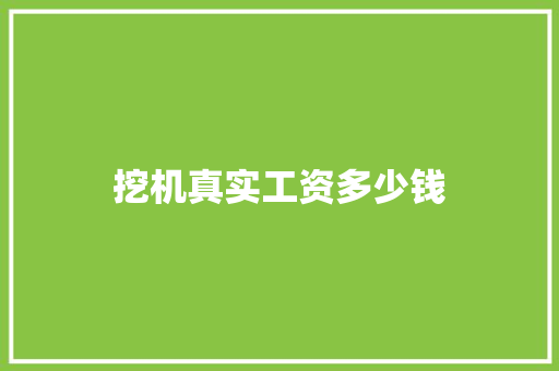 挖机真实工资多少钱