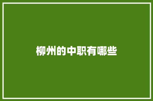 柳州的中职有哪些