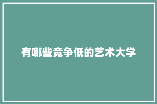 有哪些竞争低的艺术大学 职场应用