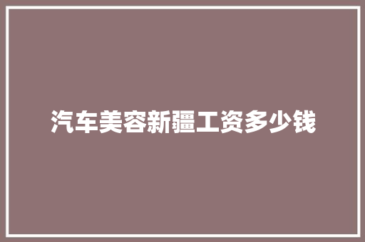 汽车美容新疆工资多少钱