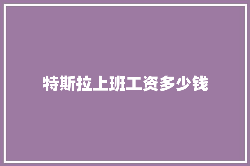 特斯拉上班工资多少钱 职场应用