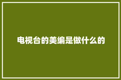 电视台的美编是做什么的
