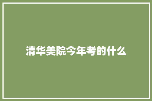 清华美院今年考的什么