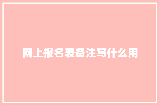 网上报名表备注写什么用 财务报告范文
