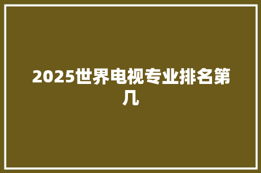 2025世界电视专业排名第几