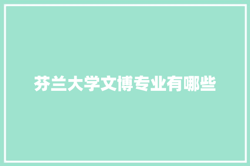 芬兰大学文博专业有哪些