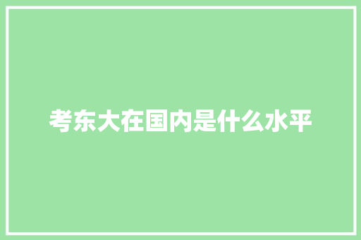 考东大在国内是什么水平 财务报告范文