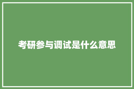考研参与调试是什么意思 财务报告范文