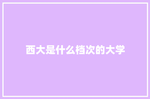 西大是什么档次的大学 项目管理范文