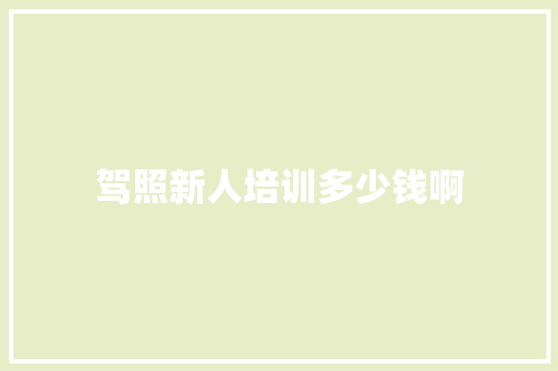驾照新人培训多少钱啊 项目管理范文