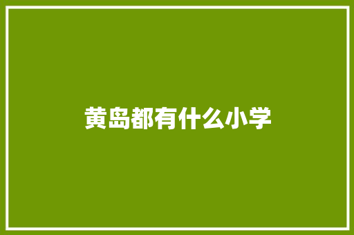黄岛都有什么小学