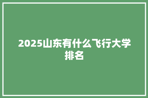 2025山东有什么飞行大学排名 演讲稿范文