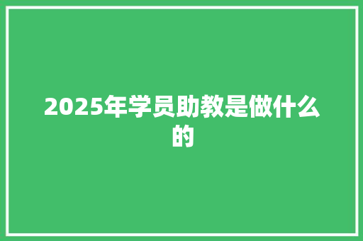 2025年学员助教是做什么的