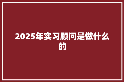 2025年实习顾问是做什么的