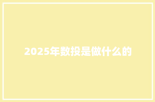 2025年数投是做什么的