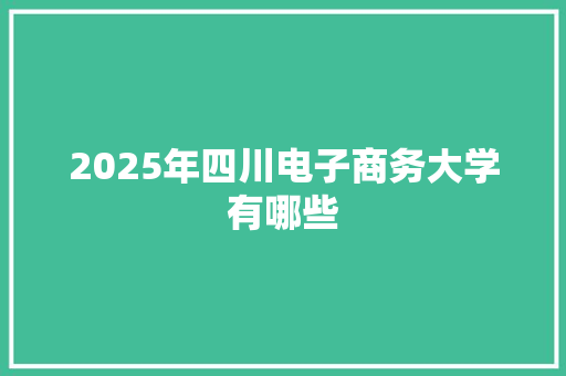 2025年四川电子商务大学有哪些 财务报告范文