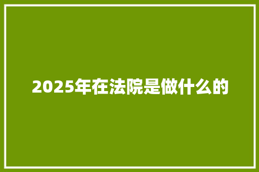 2025年在法院是做什么的