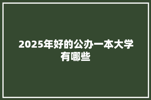 2025年好的公办一本大学有哪些