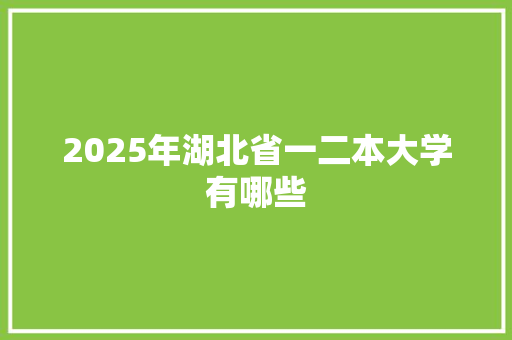 2025年湖北省一二本大学有哪些