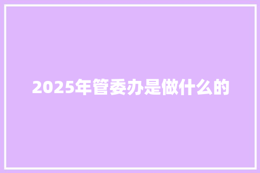 2025年管委办是做什么的