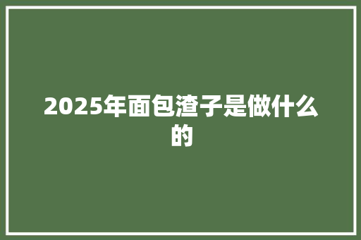 2025年面包渣子是做什么的