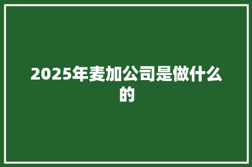 2025年麦加公司是做什么的