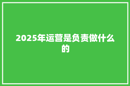 2025年运营是负责做什么的