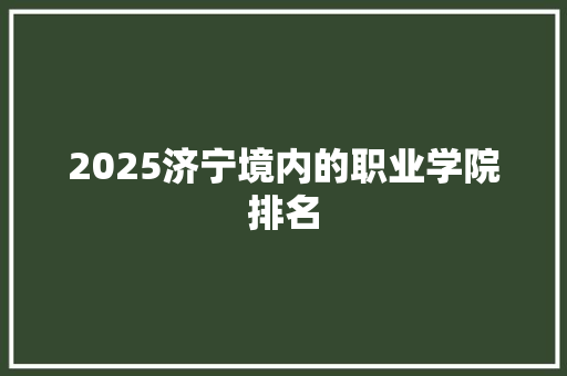 2025济宁境内的职业学院排名 财务报告范文