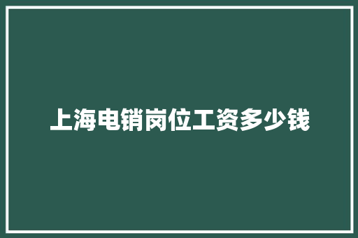 上海电销岗位工资多少钱