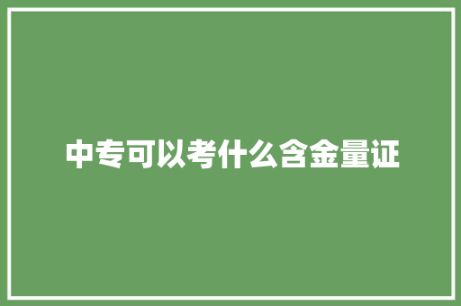 中专可以考什么含金量证