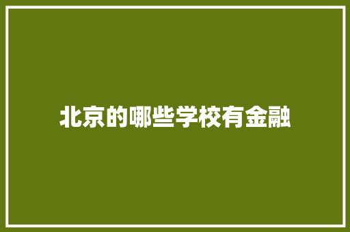 北京的哪些学校有金融