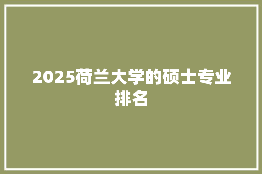 2025荷兰大学的硕士专业排名