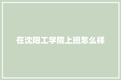 在沈阳工学院上班怎么样