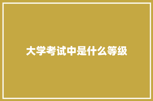 大学考试中是什么等级