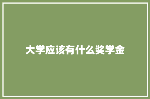 大学应该有什么奖学金 词句相关